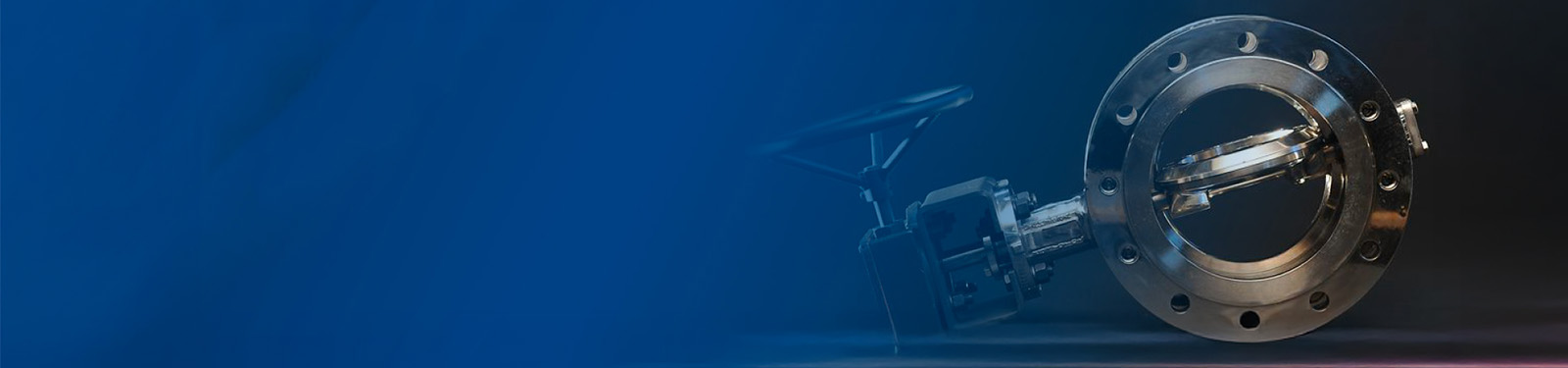 Vanessa Triple Offset Valves  Vanessa Triple Offset Valves